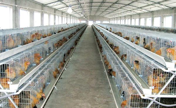 有毒气体报警器